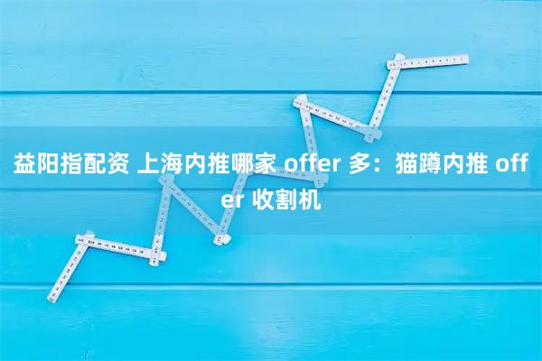 益阳指配资 上海内推哪家 offer 多：猫蹲内推 offer 收割机
